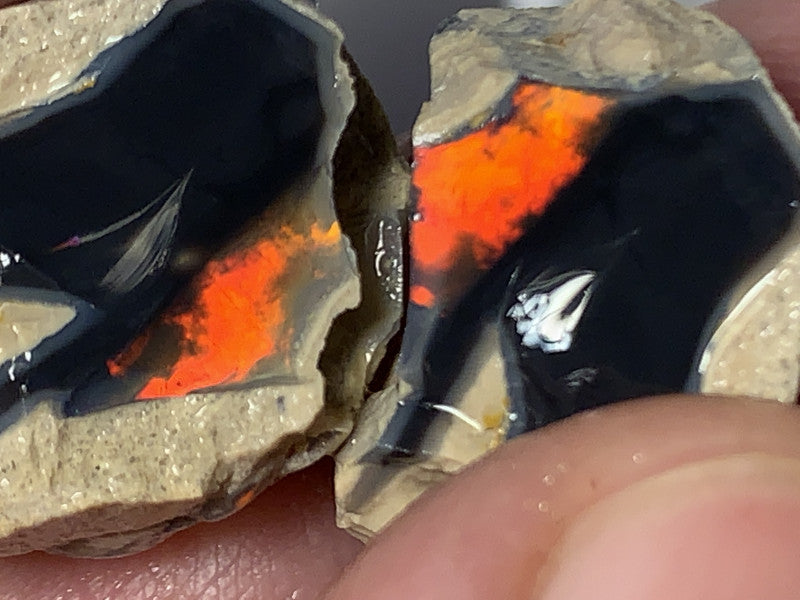 Why Black Opal is Worth 10x More than White opal: Explained