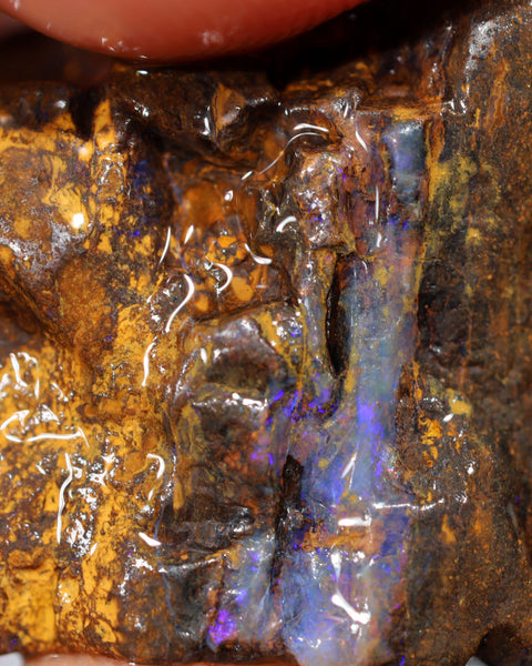 NO RESERVE Australian Queensland Boulder Matrix opal single 50cts Tumbled rough Koroit colours & potential 27x18x14mm BFA42