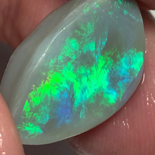 Lightning Ridge Opal Dark Base Rough / Rub / Preform Gem Grade 11.5cts Big Clean amazing Bright Multi fires 21x13x5mm WSH38