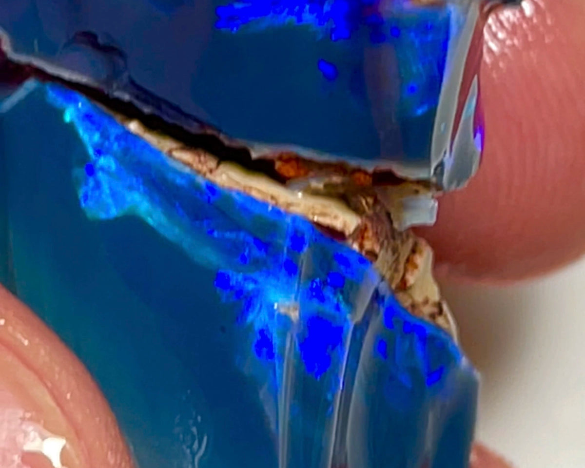 Gem Thick Black Seam opal rough split 55.00cts Lightning Ridge Bright Vibrant Blue dominant fires to cut 30x15x12 & 20x18x11mm NEW924