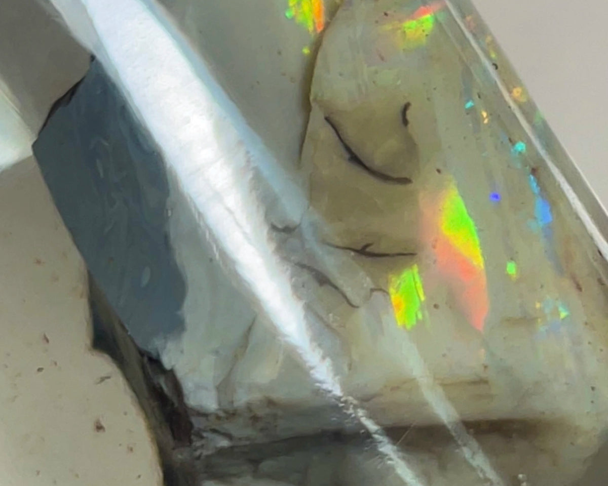 CUTTERS GEM ROUGH Lightning Ridge  47.75cts Bright gorgeous Multicolours to cut & polish 33.00x 18.00x 17.00mm NEW973