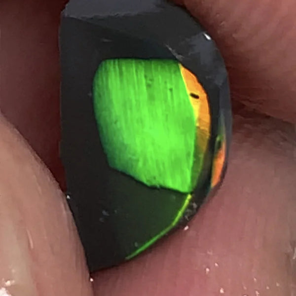 Lightning Ridge Rough / Rub Black Seam opal Miners Bench® Baby Harlequin 1.45cts Exotic Super Bright Vibrant & Vivid Multifires 12x6x2mm WSY92