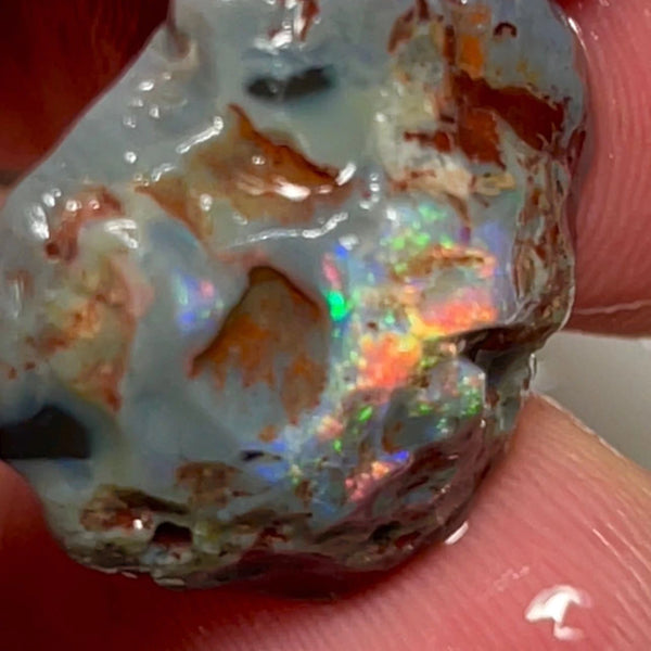 Gorgeous Red/orange dominant Multifires 16.25cts Lightning Ridge Dark base knobby opal rough 19x8x6mm NSW168