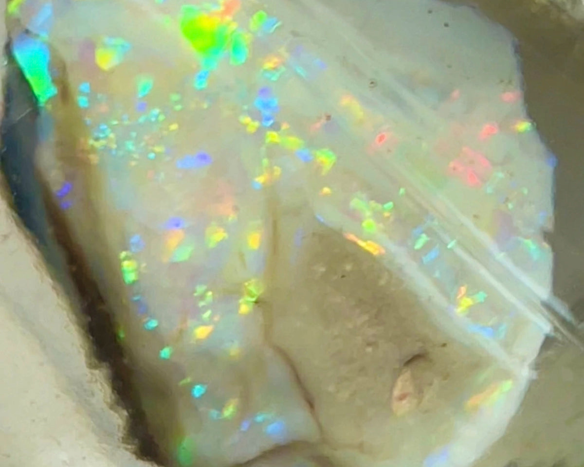 CUTTERS GEM ROUGH Lightning Ridge  47.75cts Bright gorgeous Multicolours to cut & polish 33.00x 18.00x 17.00mm NEW973