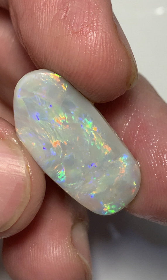 Lightning Ridge Dark Opal Rough / Rub / Preform High Grade 7.6cts Big Gem Quality amazing Bright Multi fires 27x13x2mm WSH62