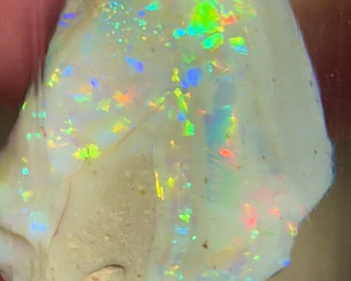 CUTTERS GEM ROUGH Lightning Ridge  47.75cts Bright gorgeous Multicolours to cut & polish 33.00x 18.00x 17.00mm NEW973