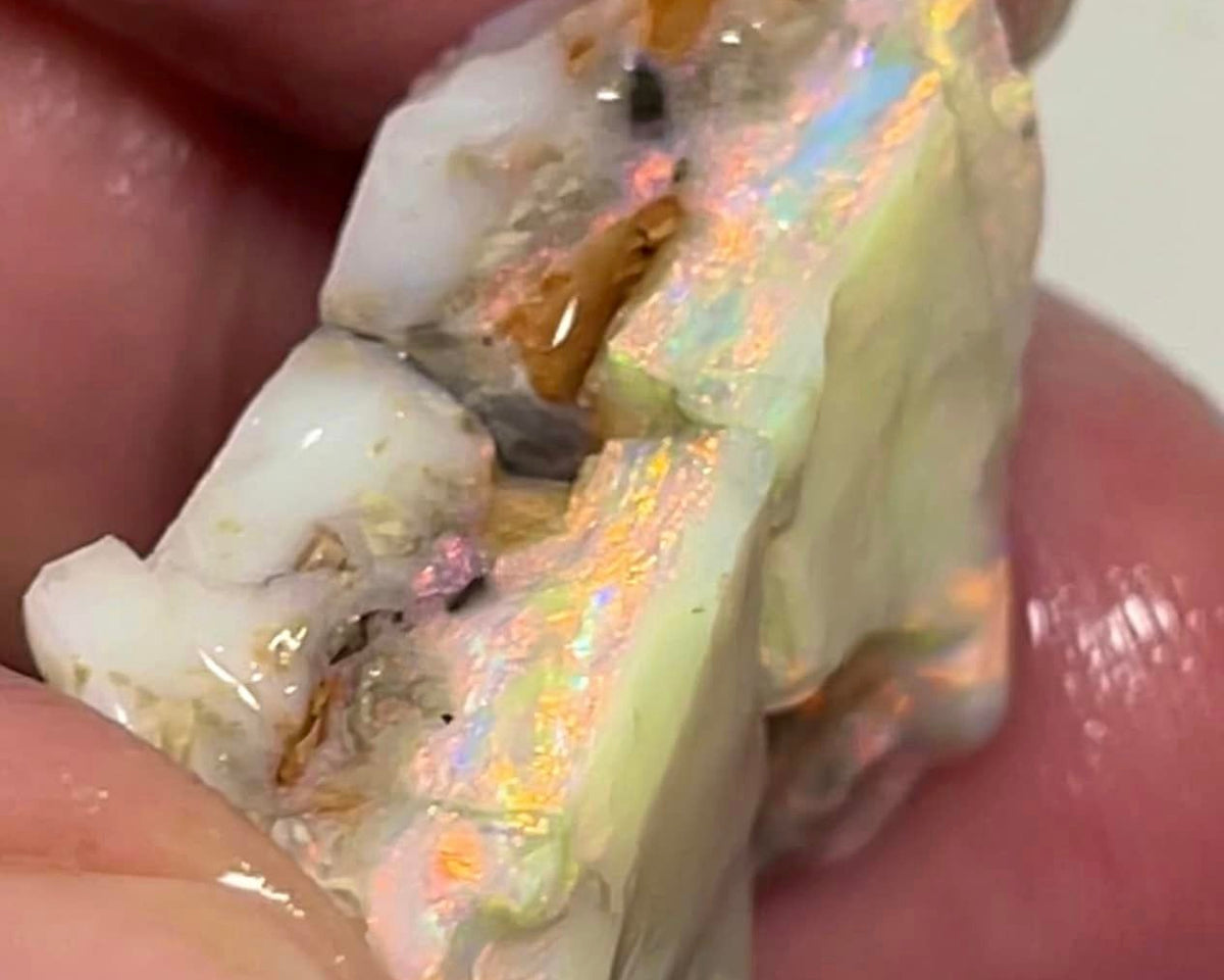 Lightning Ridge Rough Opal 33cts Big Pair Stunning Light/Dark Base Cutters Candy® High Grade Bright Multifires 22x14x12mm & 17x14x11mm MFB28