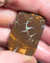 Queensland Boulder Matrix opal 55cts rough / slice Koroit some fires 30x20x6mm JanA46