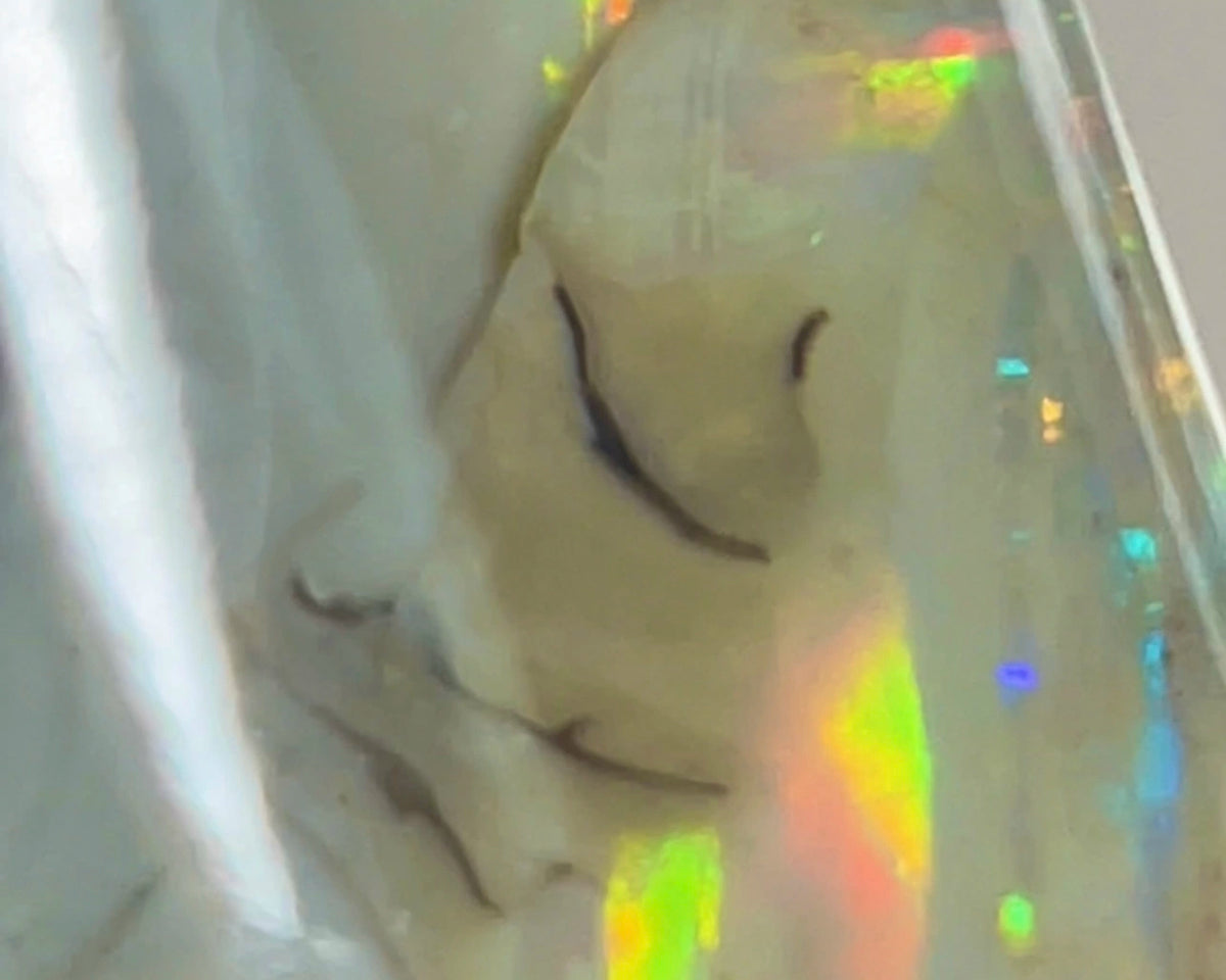 CUTTERS GEM ROUGH Lightning Ridge  47.75cts Bright gorgeous Multicolours to cut & polish 33.00x 18.00x 17.00mm NEW973