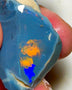 Lightning Ridge Opal Huge Rough/Rub Dark Base From the Miners Bench® 60cts Broad zones of Orange/Blue fires 39x24x12mm WAD29