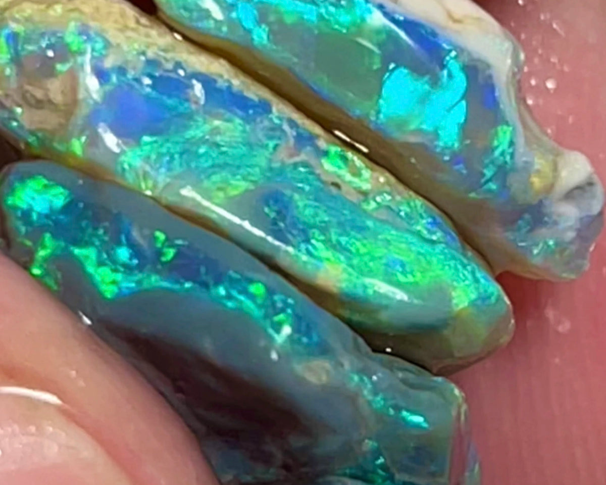 Gemmy Coocoran Field Knobby Cutters rough opal stack 17.00cts Very Bright & Gorgeous Yellow/Green/Blue Dominant fires 18x15x4 to 17x9x4mm  NEW902