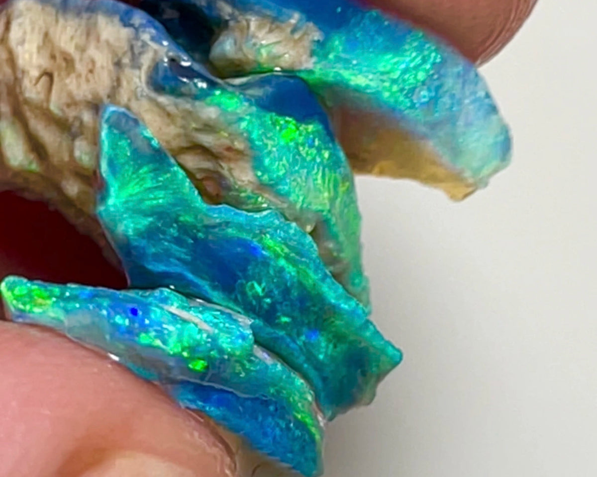 Mulga® Cutters Dark Crystal Seam opal rough Stack 15.50cts Wee Warra Plains Gorgeous Bright Multicolours & full of potential 20x15x4 to 13x9x3mm NEW913