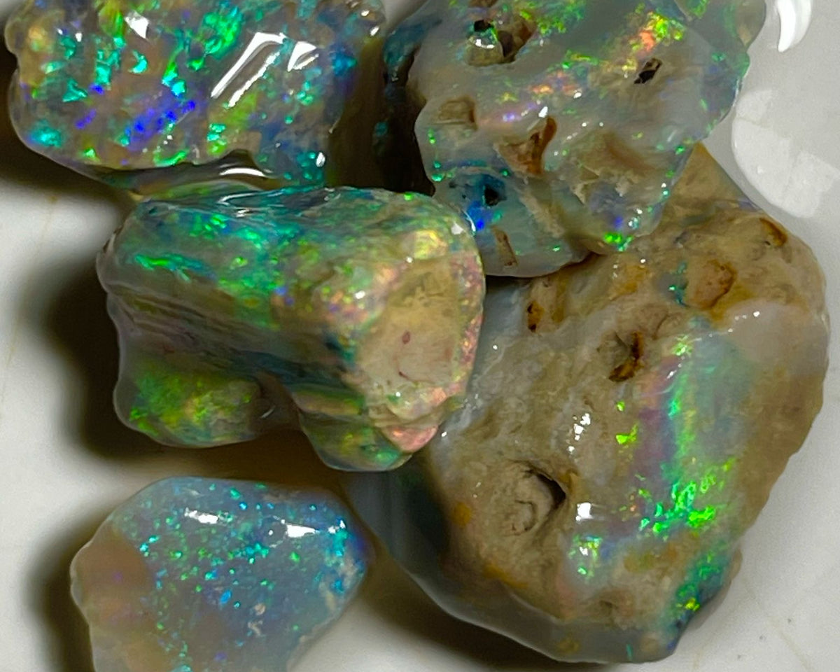 Bright & Vibrant Multicolour Knobby opal rough 31.00cts Stunning Lighting Ridge Material to cut 18x17x7 to 10x9x5 mm NEW903