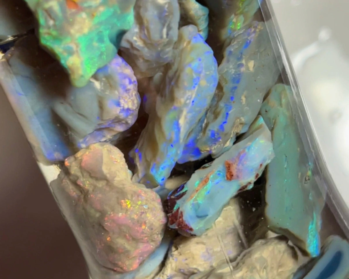 Lightning Ridge Multicolour knobby opal rough 219.00cts Lots of bars & Multicolours showing lots of potential 25x20x8mm to 9x8x4mm NEW933