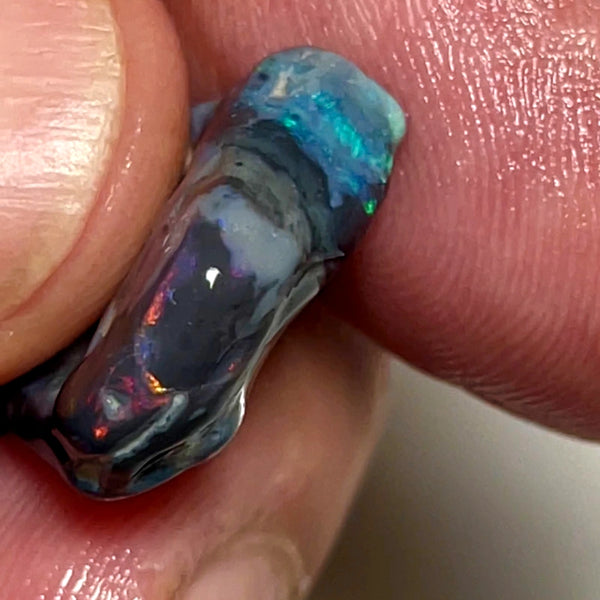 Lightning Ridge Rough Opal 11.5cts Stunning Black base Seam Gorgeous Reds Greens & Multifires in bars 20x14x5mm WAD44