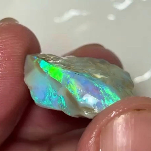 One to cut Lightning Ridge Dark base Crystal Seam opal rough 19.00cts Very Bright Yellow/Green/Blue Dominant fires to cut & polish 24.000 x 20.000 x 8.000 mm NEW901