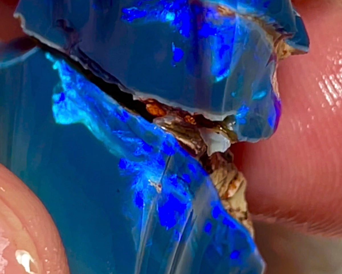 Gem Thick Black Seam opal rough split 55.00cts Lightning Ridge Bright Vibrant Blue dominant fires to cut 30x15x12 & 20x18x11mm NEW924