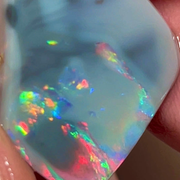 Picture stone Seam opal rub rough of Lightning Ridge 9.90cts Bright Gorgeous Reds & Multifires to exposed face 25.00x 18.00x 2.50mm NEW936