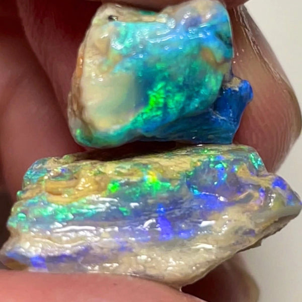 Lightning Ridge Gorgeous knobby opal rough Pair 22.50cts Gorgeous Bright Greens & Blues dominant to cut 20x15x10mm & 12x10x8mm NSW096