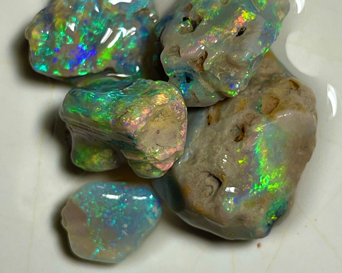 Bright & Vibrant Multicolour Knobby opal rough 31.00cts Stunning Lighting Ridge Material to cut 18x17x7 to 10x9x5 mm NEW903