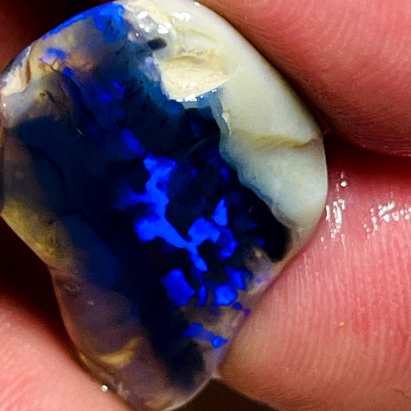 Lightning Ridge Rough / Rub Blue on Black Crystal Knobby opal Miners Bench® 14.5cts Gorgeous Bright Blues 22x16x7mm WAC48