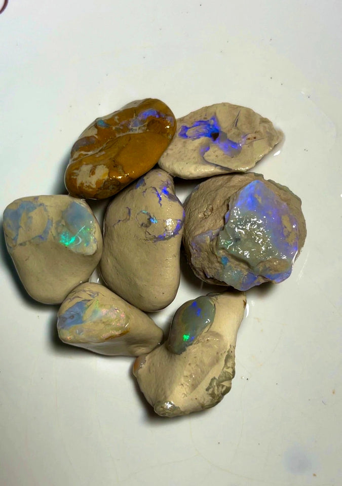 Lightning Ridge Rough Dark & Crystal Opal Parcel 290cts Knobby Formations with bright Multi colours & bars 32x25x10mm to 23x15x13mm WAD8