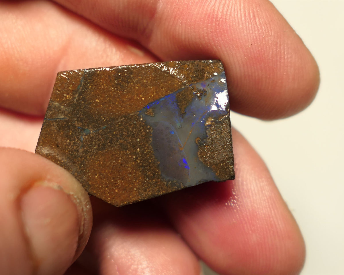 Queensland Boulder Matrix opal 50cts rough / slice Koroit  some blue fires 27x19x8mm 15ARP