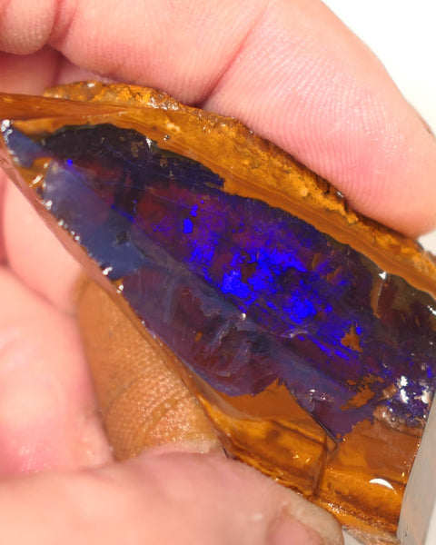 Queensland Boulder Matrix opal 195cts rough / Rub Winton Bright Gem Blue fires 70x30x15mm 0418