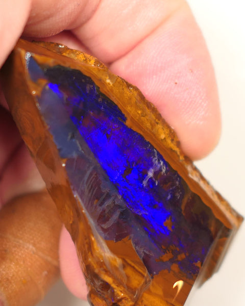 Queensland Boulder Matrix opal 195cts rough / Rub Winton Bright Gem Blue fires 70x30x15mm 0418