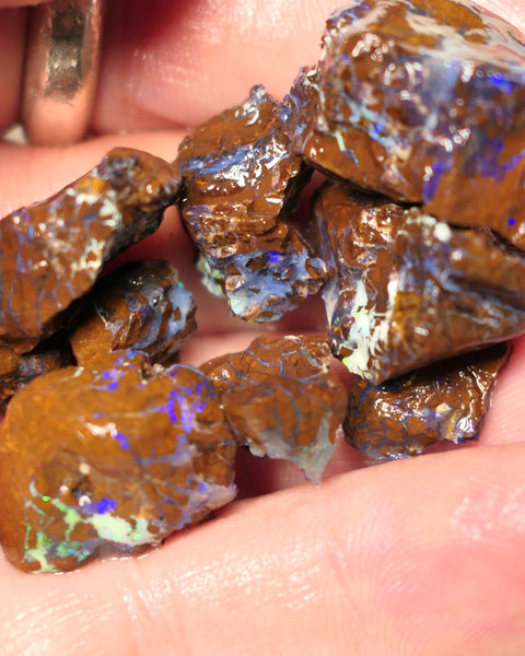 Queensland Boulder Matrix opal 140cts rough Parcel Koroit  Lots nice Blue fires 20x15x12mm to 10x7x5mm 0422