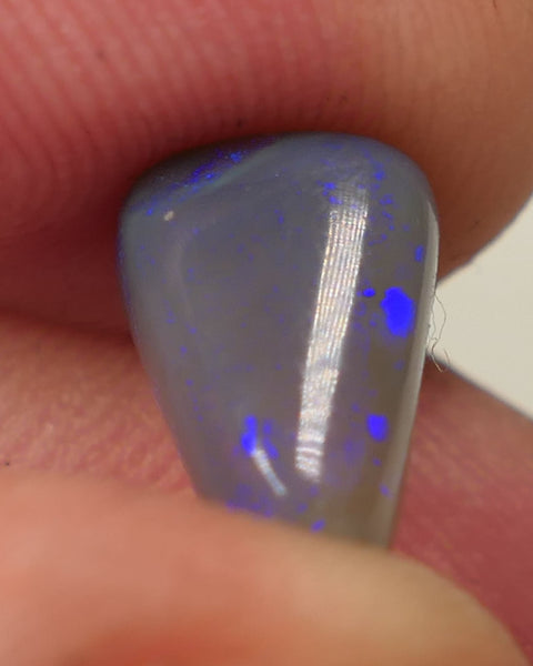 Lightning Ridge Dark Crystal opal Gemstone 3.3cts Polished ready for setting Some Nice Blue colours 12x8x5mm SKU#0444