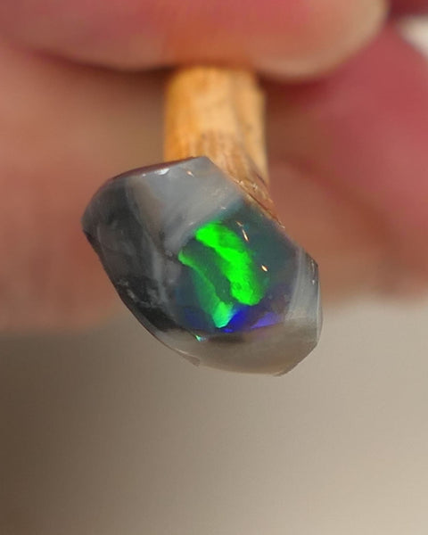 Mulga® Miners Bench® Tiny GEM Black Opal Rough Rub 1cs Stunning Pointer to be had Gorgeous Broad rolling flash showing electric Green Blue & Teal 10x4x2.5mm 0522