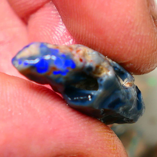 Lightning Ridge Rough Opal Gamble Auction5 15.00cts 26x13x9mm