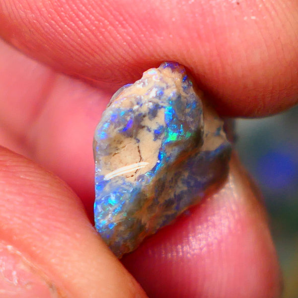 Lightning Ridge Dark Base Knobby opal rough Gamble 5.00cts Bright fires with gorgeous blue tones with flashes of greens 15x13x5mm GMB-009