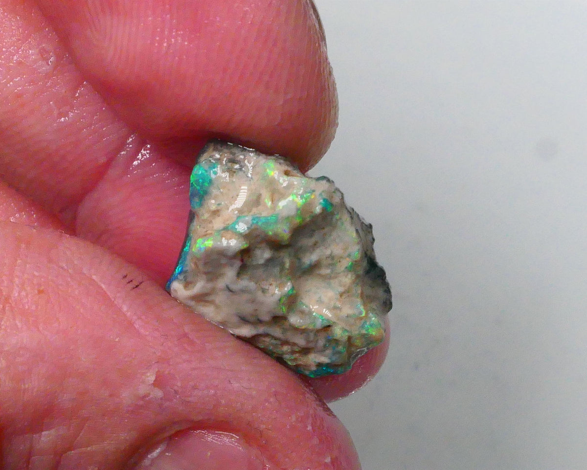 New Weekly Deal Details to come ALP504