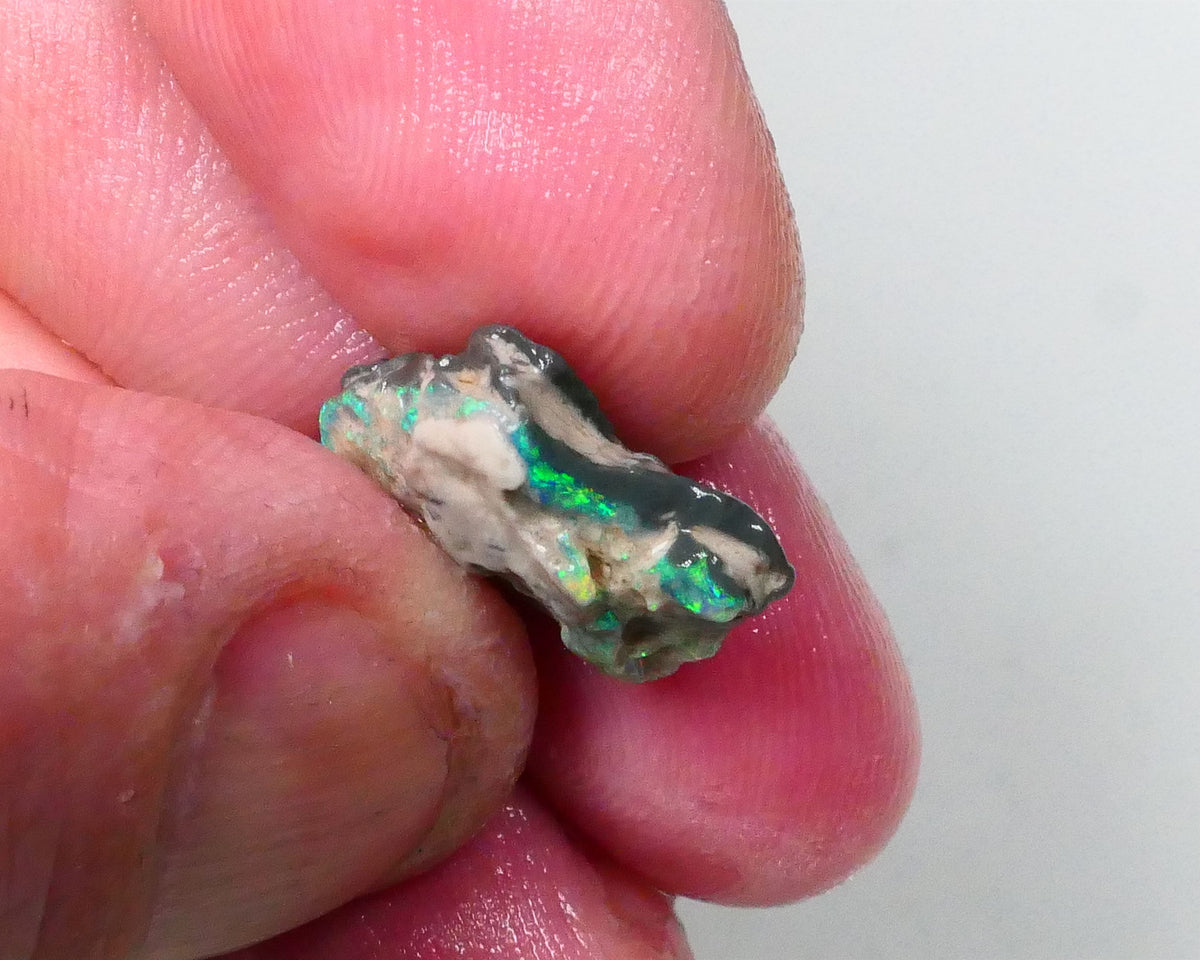 New Weekly Deal Details to come ALP504