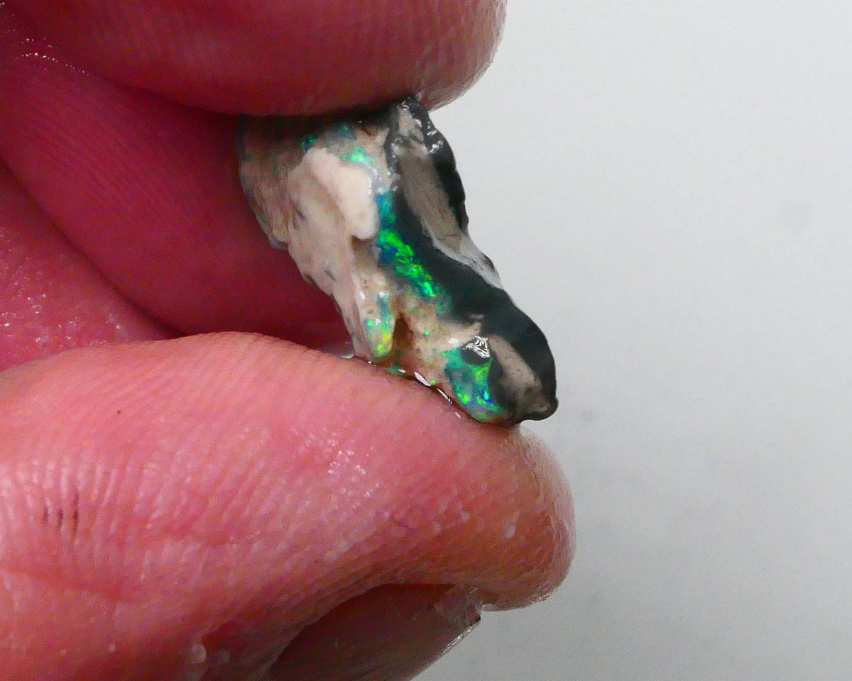 New Weekly Deal Details to come ALP504