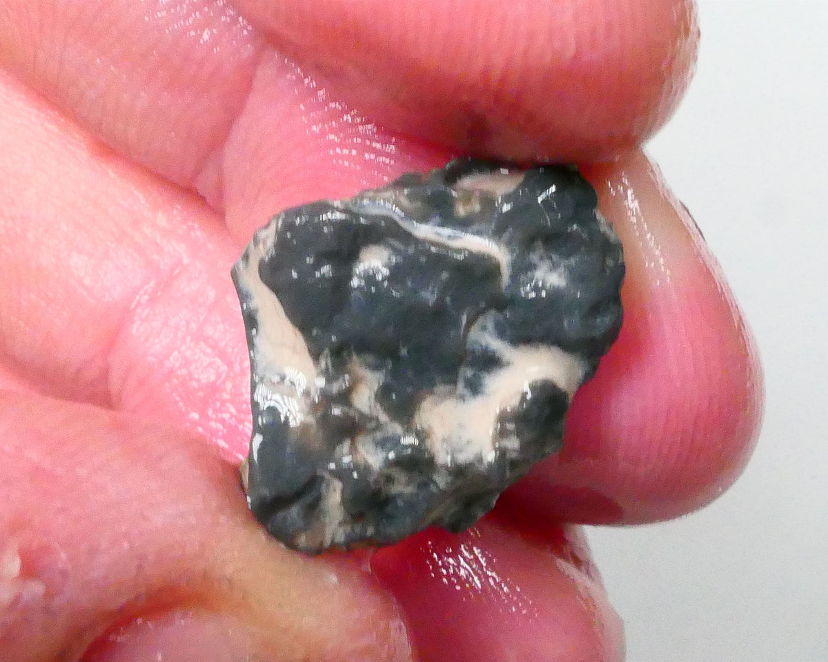 New Weekly Deal Details to come ALP504