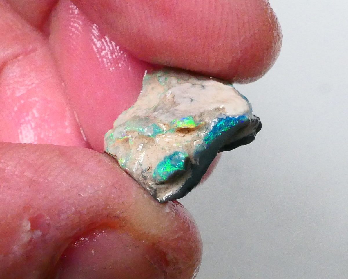 New Weekly Deal Details to come ALP504