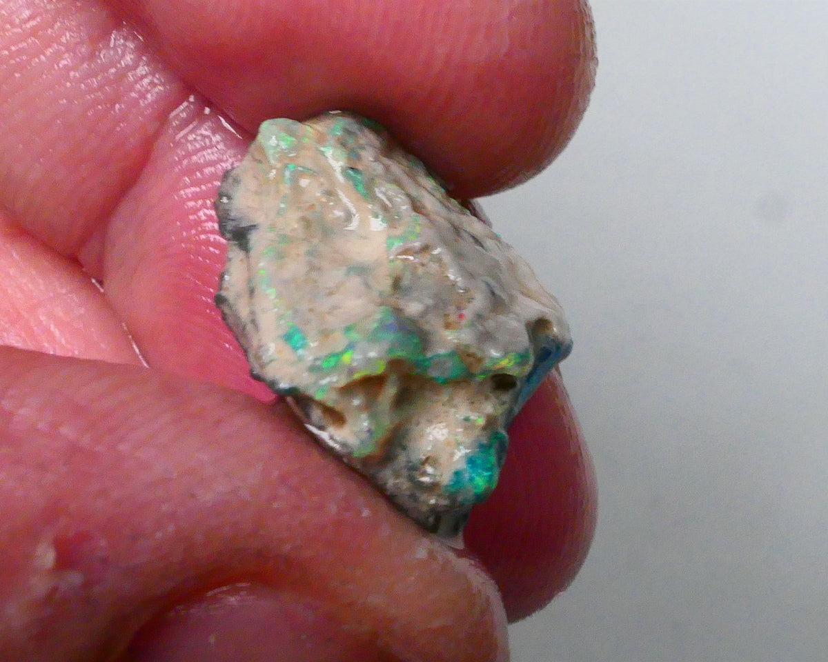 New Weekly Deal Details to come ALP504