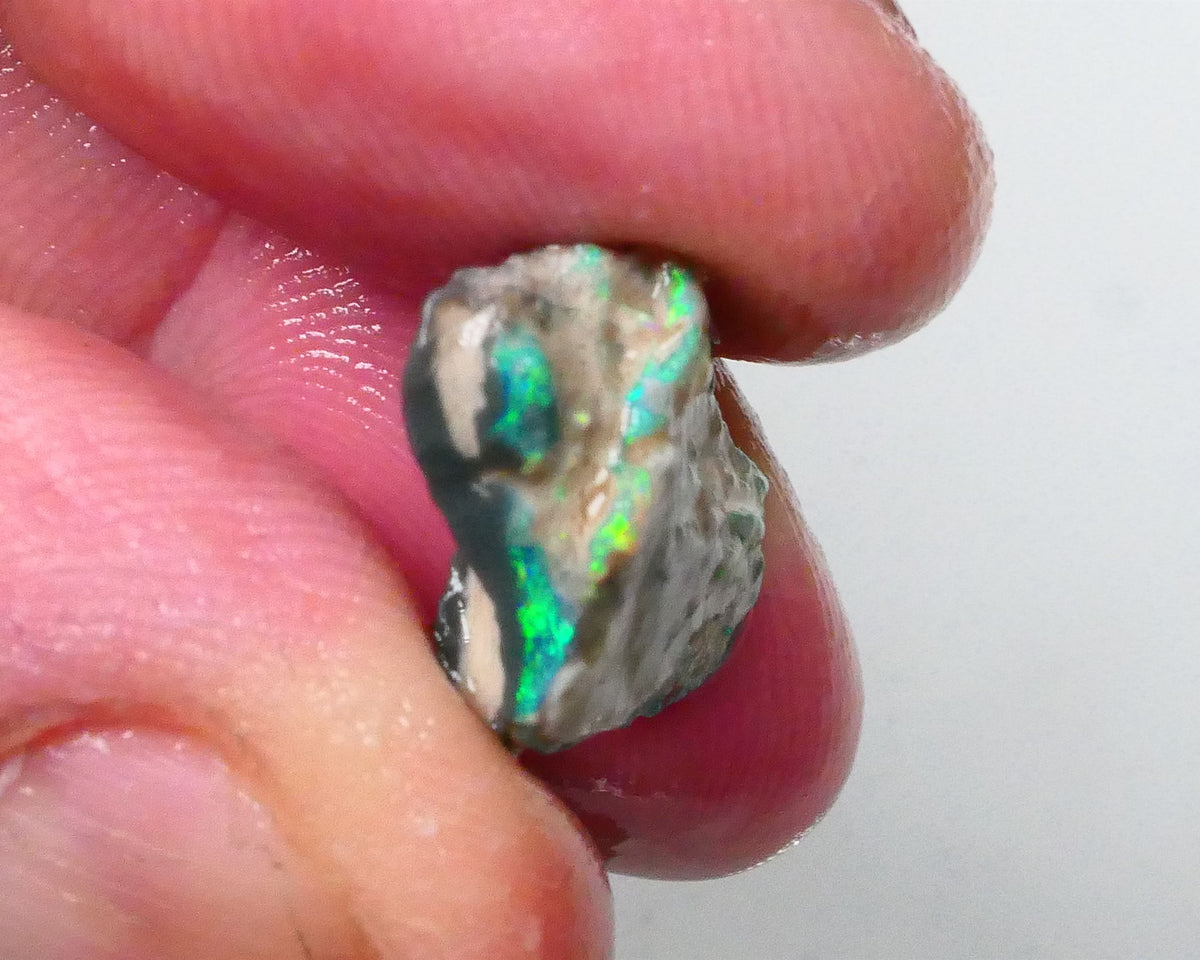 New Weekly Deal Details to come ALP504