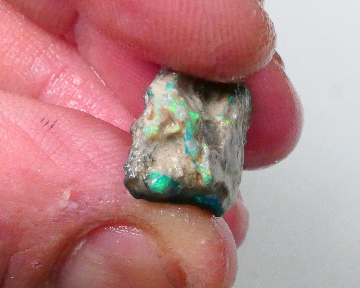 New Weekly Deal Details to come ALP504