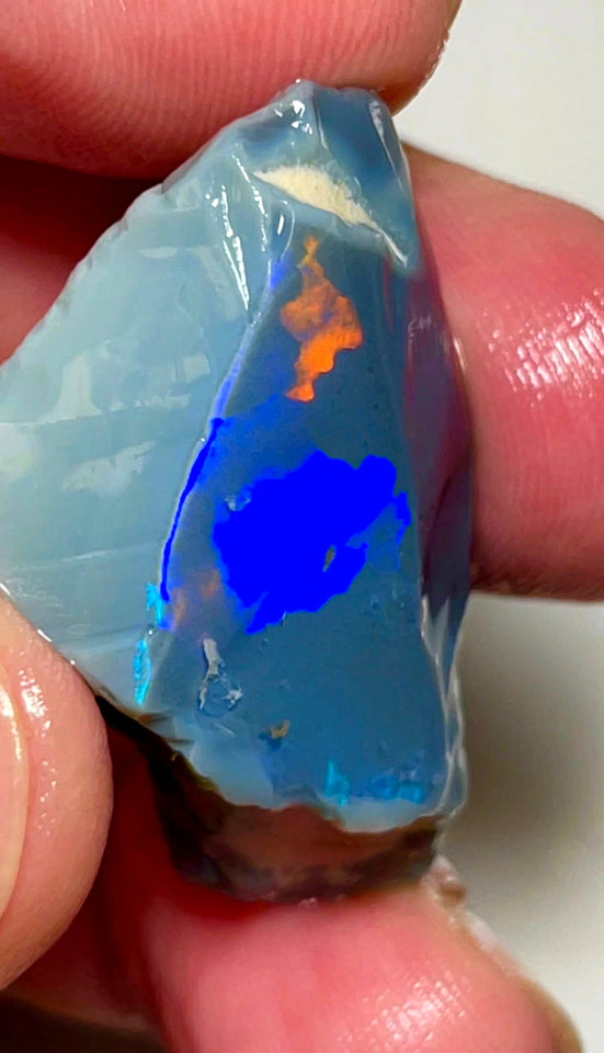 Lightning Ridge Opal Huge Rough/Rub Dark Base From the Miners Bench® 60cts Broad zones of Orange/Blue fires 39x24x12mm WAD29