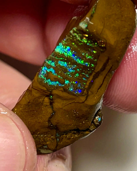 Queensland Boulder Matrix opal 43cts rub / rough Winton Exotic Bright & Gorgeous Multifires 30x17x12mm WAD55