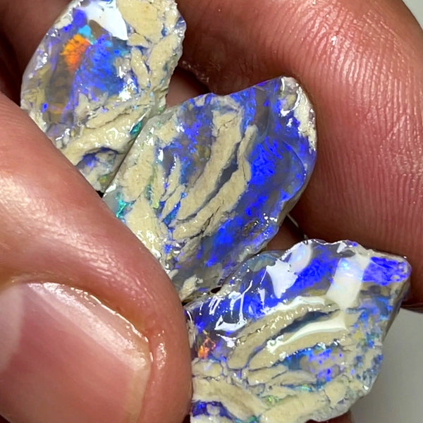 Lightning Ridge Rough Dark Crystal Knobby Opal 3 way split 24cts Bright Blues with some orange/red flashes  20x12x8mm to 18x10x5mm WAD25