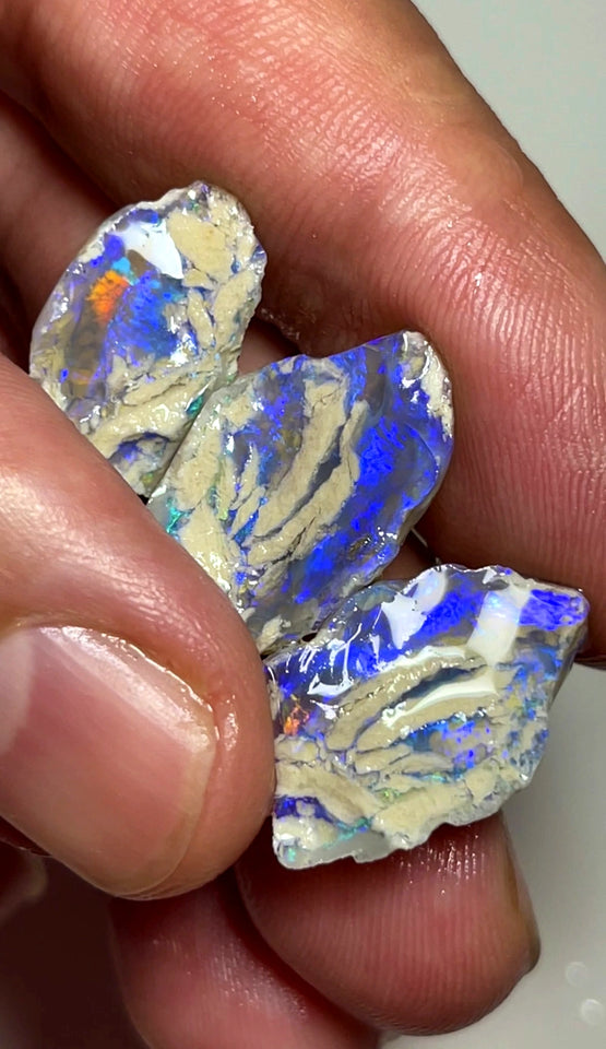 Lightning Ridge Rough Dark Crystal Knobby Opal 3 way split 24cts Bright Blues with some orange/red flashes  20x12x8mm to 18x10x5mm WAD25