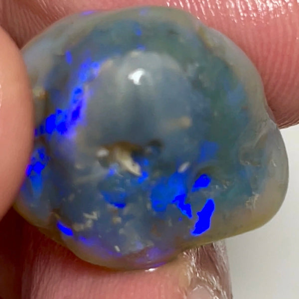 Lightning Ridge Rough Untouched Hand picked to cut & explore Semi Black knobby opal 25.00cts Bright Blue fires showing all around 20x18x12mm NSW135