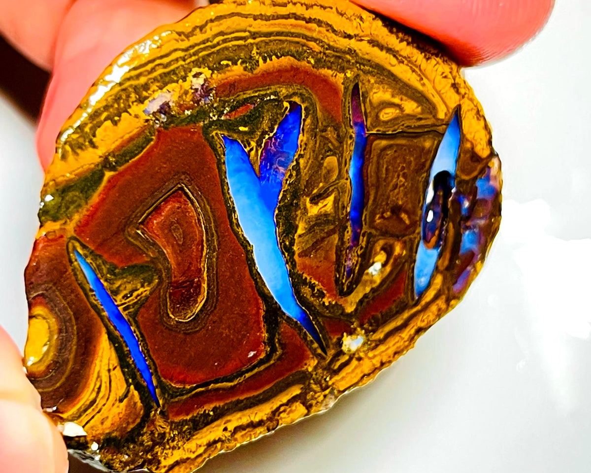 Queensland Boulder opal rough 220cts Half of a Huge Yowah Nut Amazing very Unique pattern & colour in veins  49x38x23mm WAD60