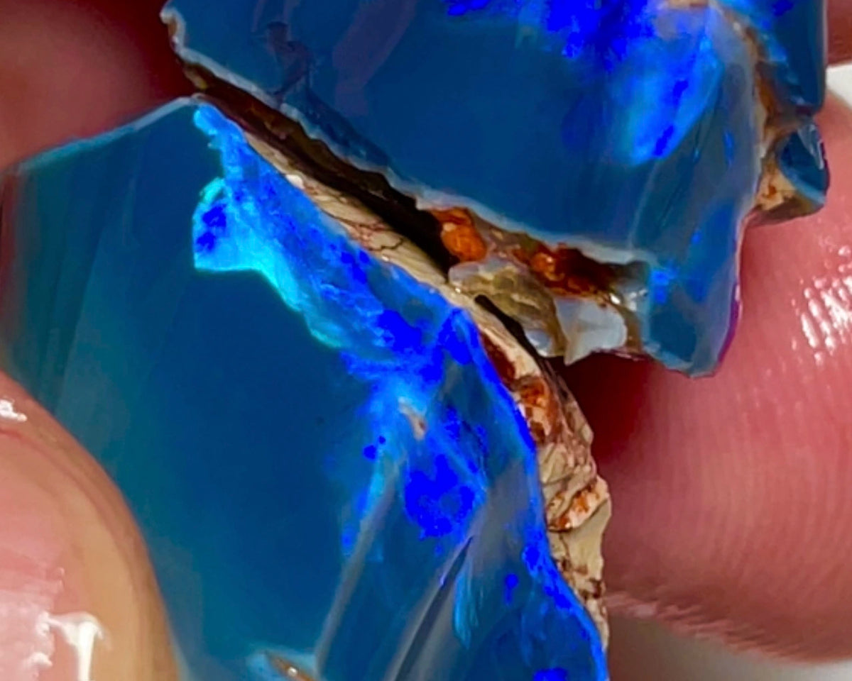 Gem Thick Black Seam opal rough split 55.00cts Lightning Ridge Bright Vibrant Blue dominant fires to cut 30x15x12 & 20x18x11mm NEW924