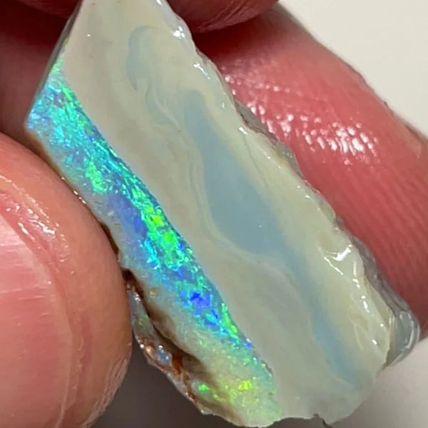 Lightning Ridge 16.75cts Rough Opal Dark Seam to cut gorgeous Multifires 27x10x9 mm NSW143